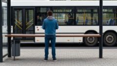 Autobusy na cmentarz: dodatkowe linie S i C