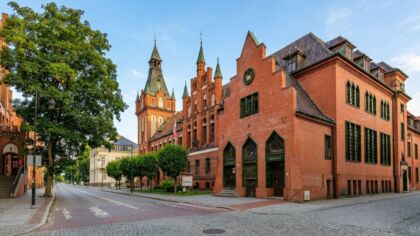 W poniedziałek seans Camino dla opornych